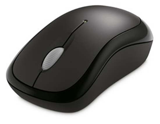 Mouse